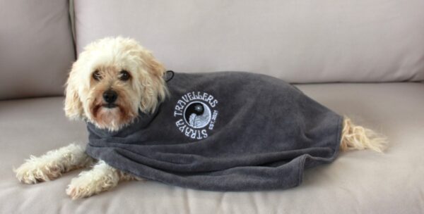 A dog laying on its back in a towel.