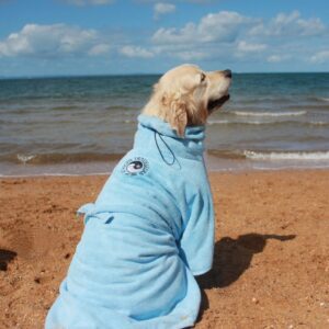 A dog is sitting on the beach in his blue towel.