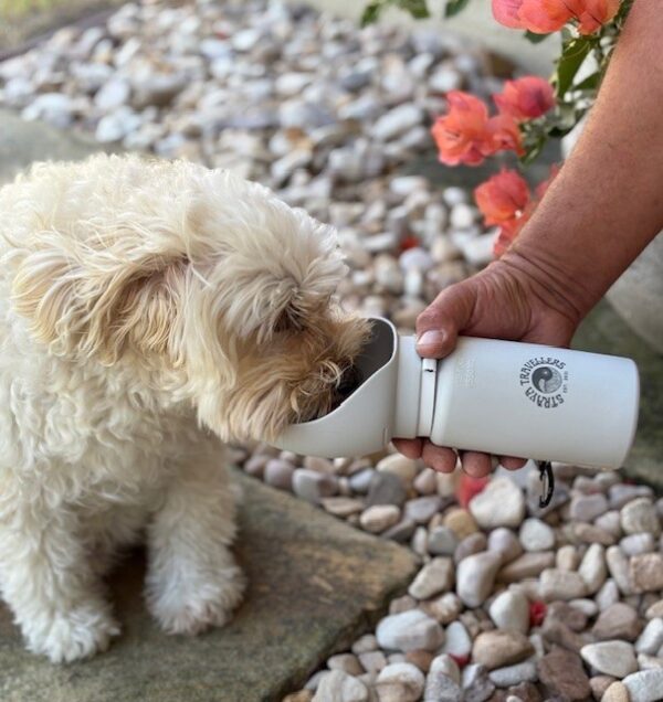 Ultimate Collapsible Travel Pet Water Bottle!